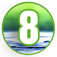 8